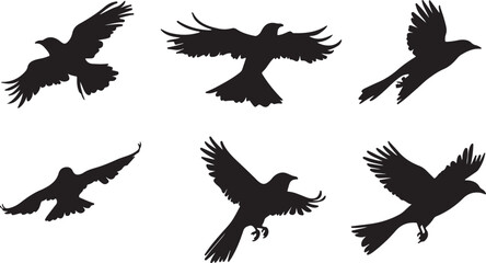Fototapeta premium Flying Bird Silhouettes Collection - Vector Black Bird Illustrations