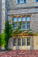 10 Aug 2024 - University of Guelph, ON, Canada. Beautiful traditional stone windows decorated with Ivy leaves.