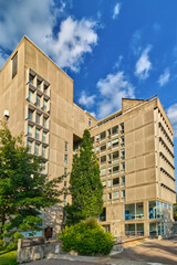 10 Aug 2024 - University of Guelph, ON, Canada. Tall buildings line the Winegard walkway int he campus.