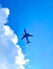 飛行機と青い空