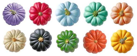 Top view of multicolored pumpkins isolated on transparent background, assorted decorative gourds for autumn, Halloween, and Thanksgiving seasonal design or craft use