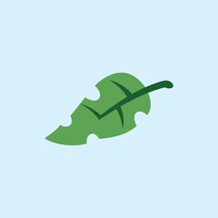 Illustration of a leaf with a bite on the edge from an animal. A leaf torn by an animal bite. Design element illustration of a leaf. Nature theme