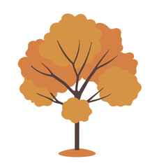 Autumn tree with orange foliage. Vector illustration