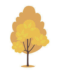 Autumn tree with yellow foliage. Vector illustration