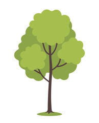 Cartoon green tree on white background. Vector illustration