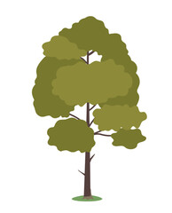 Green tree with brown trunk isolated. Vector illustration