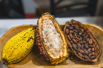 Cacao fruit with raw seeds and dried or fermented seeds, from which chocolate and cocoa are obtained.