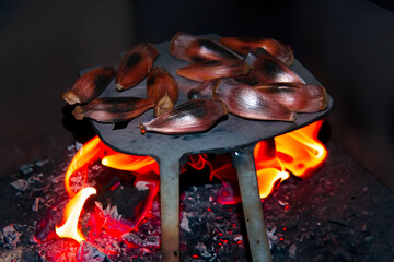 Araucaria pine nut roasted in a rustic way on a hot surface in the fire