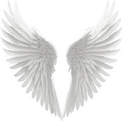 angel wings vector