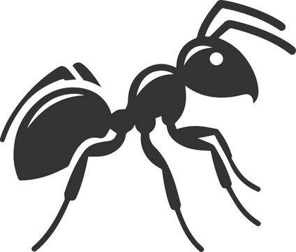 Black vector of ant insect silhouette