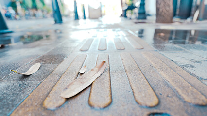 A city's pedestrian walkway is visible from the wet tactile paving after the rain.