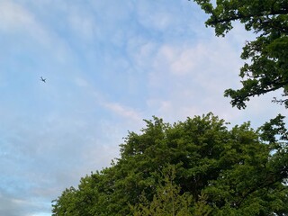 Obraz premium sky and trees