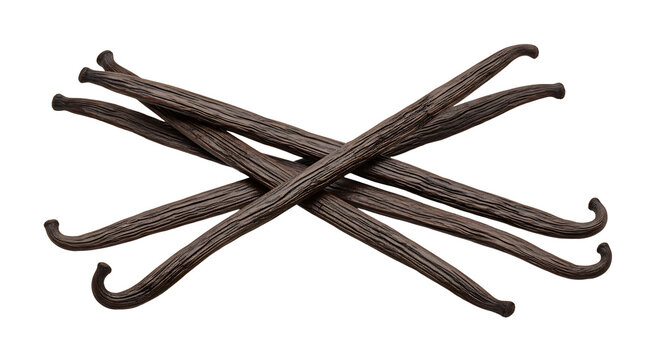 The aromatic essence of vanilla beans captured in an image. 