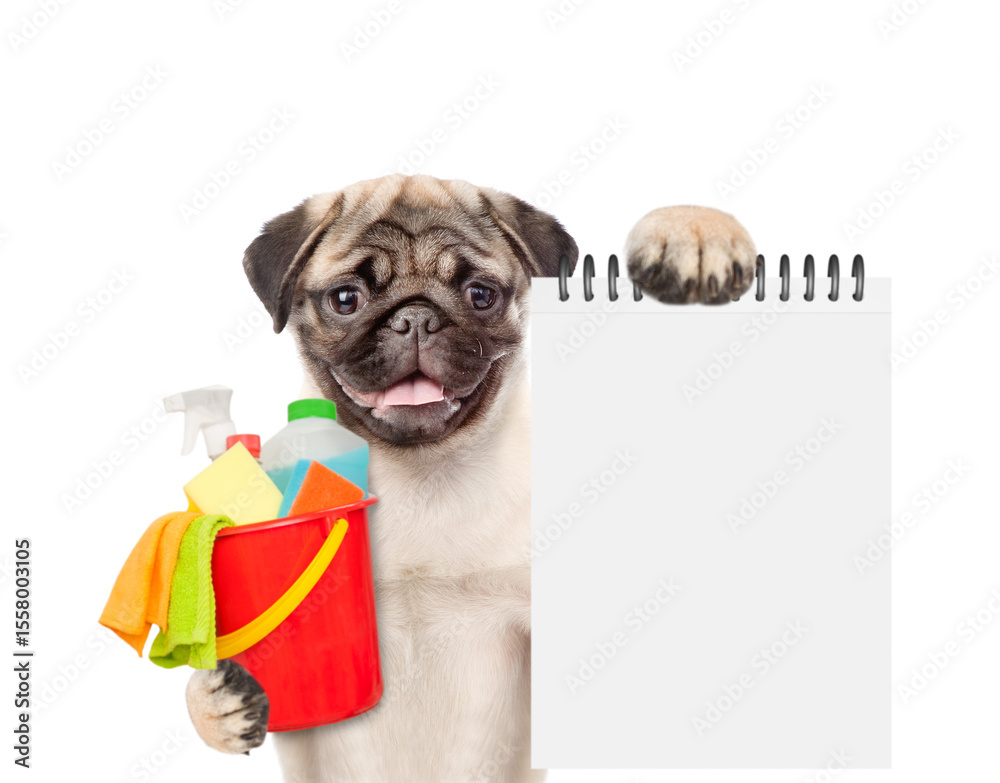 Poster Cleaning concept. Smiling Pug puppy holds bucket with  washing fluids and rags in it paws and shows blank notepad. isolated on white background
