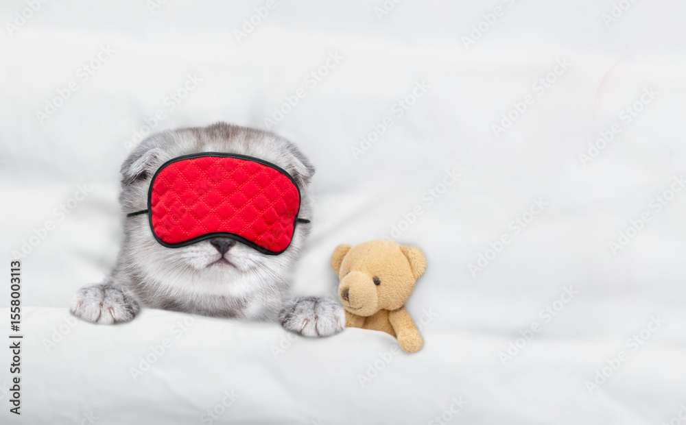 Poster cozy tiny kitten wearing sleeping mask sleeps under blanket on a bed at home with favorite toy bear.