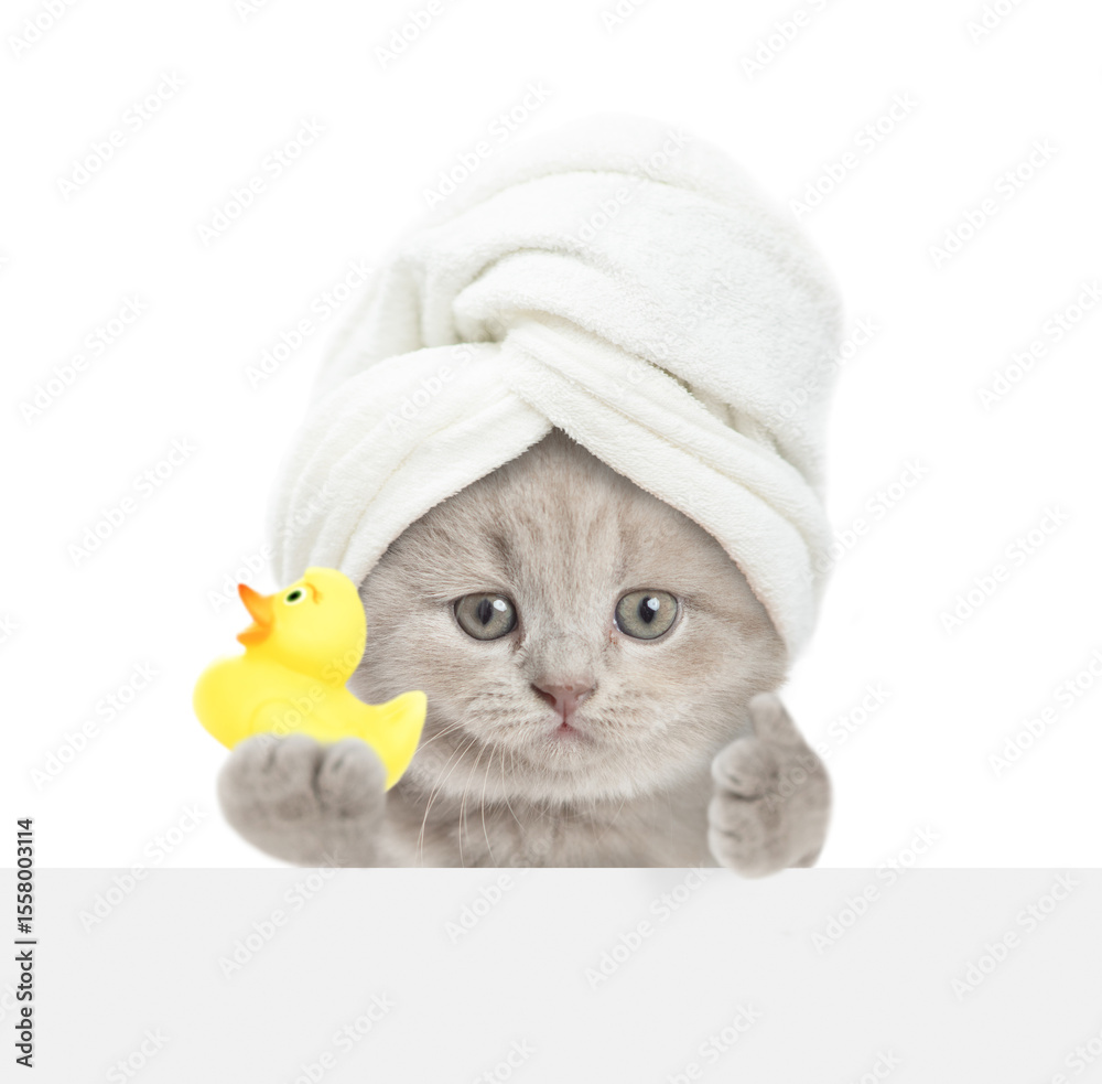 Poster cute kitten with towel on it head looks above blank white banner and shows rubber duck and thumbs up