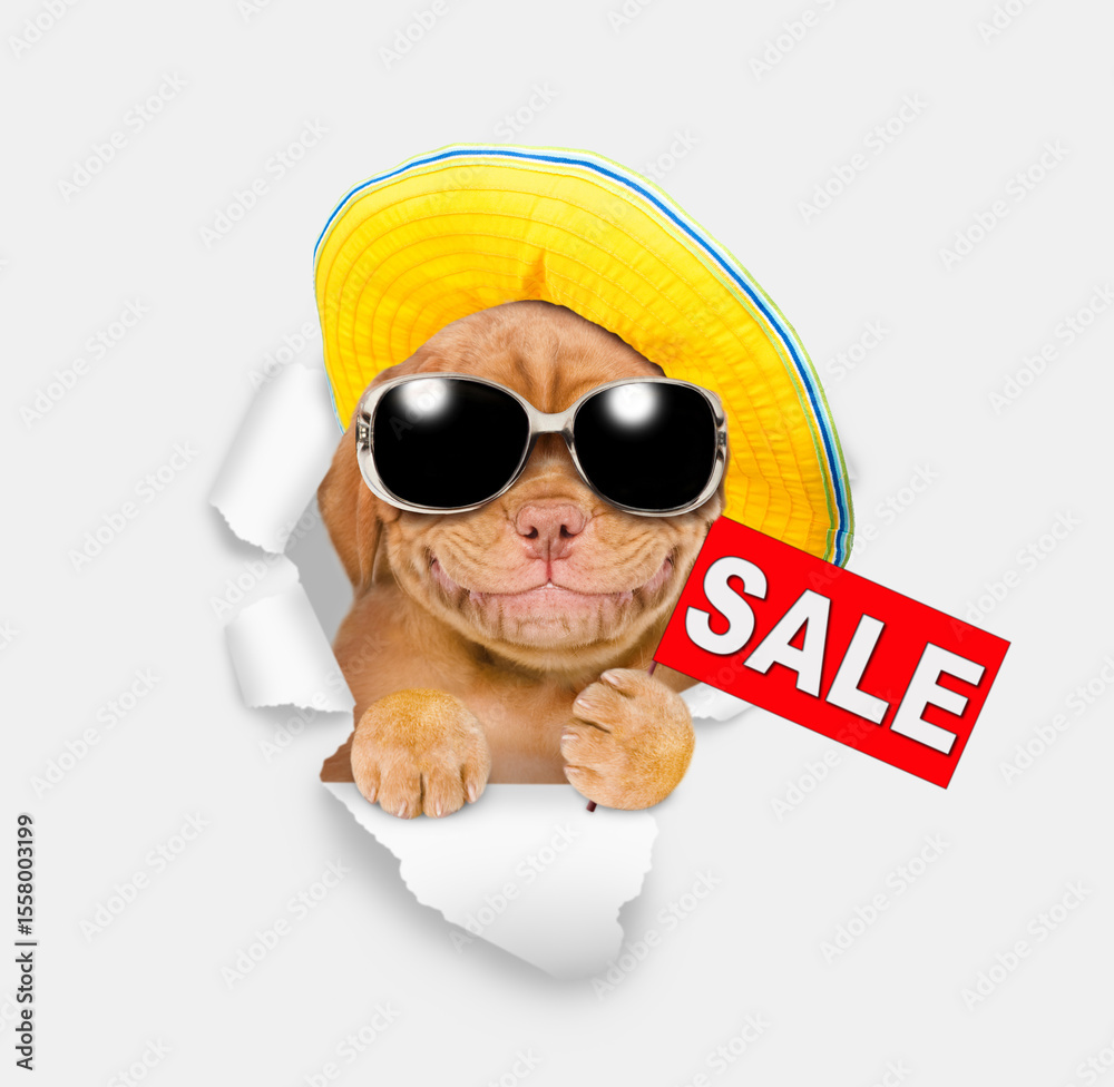 Aufkleber smiling mastif puppy wearing sunglasses and summer hat looking through the hole in white paper and s
