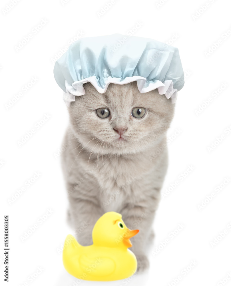 Poster Funny kitten with tiny shower cap on it head stands in front view with rubber duck. isolated on white background