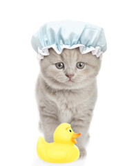 Funny kitten with tiny shower cap on it head stands in front view with rubber duck. isolated on...