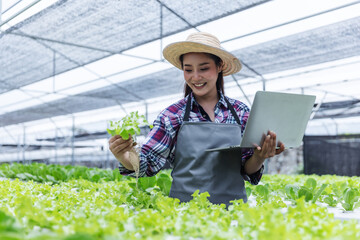 A smiling farmer in a hat and apron uses a laptop while inspecting fresh lettuce in a modern greenhouse. 