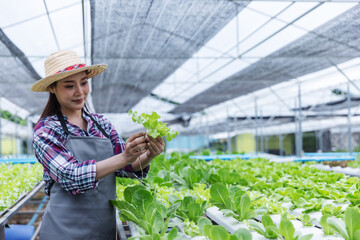 A young farmer wearing a hat and apron carefully inspects fresh lettuce in a modern greenhouse. The bright, lush environment emphasizes sustainable agriculture and precision farming practices.