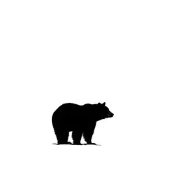 Fototapeta premium A silhouette of a bear standing in a transparent background, highlighting wildlife and nature.