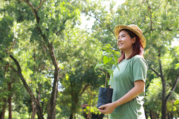 Asian volunteer woman in green shirt holding a sapling to plant to help conserve the forest. World Environment Day. Save the world. copy space