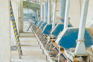 Conveyor system transporting wheat in grain distribution facility with multiple chutes and efficient layout