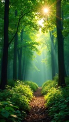 Obraz premium Sunlit Summer Forest Tranquil Woodland Scene with Lush Green Canopy, Dappled Light, and Vibrant Undergrowth