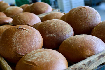 Freshly baked round bread loaves on a wooden tray in a bakery setting during the morning hours