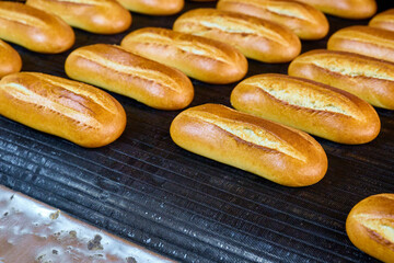 Freshly baked bread rolls coming out of the bakery oven ready to be served warm for breakfast or...