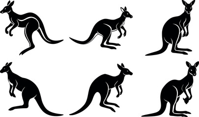 Jumping Kangaroo Vector Wild Animal Graphic