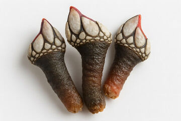 Three goose barnacles stand upright, showcasing their unique leathery stalks and scaly, off-white heads with orange tips. Generative AI.