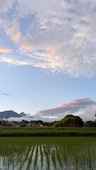 山と空と不思議な雲