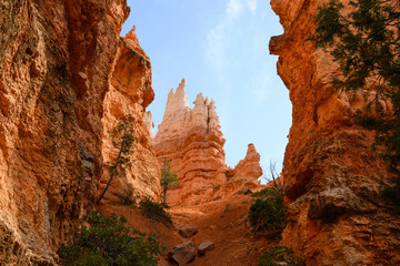 Looking up at tall, towering red rock hoodoo formations with the sun shining down in Bryce Canyon...