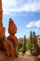 View of the Queens Garden Trail through balanced red rock hoodoo formations and pine trees in Bryce...