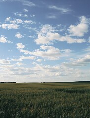 Obraz premium Open field with blue sky and clouds