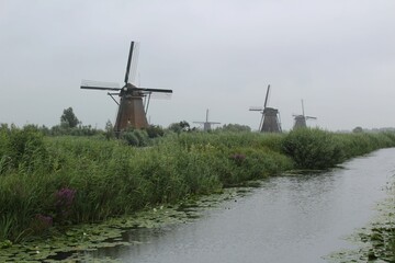 dutch windmill on the river 
