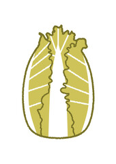 白菜のイラスト