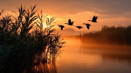 Obraz premium A wetland scene at dawn with wild birds soaring gracefully above a mist-covered marsh