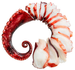 Octopus's arms with Octopus suckers isolated on white background, Octopus's arms on white PNG file.