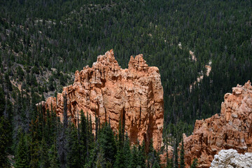 Natures beauty, red rock hoodoo formations and bristlecone pine trees at Rainbow Point in Bryce...