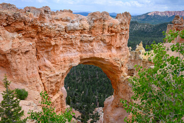 Rock arch and natural rock bridge rock formations with quaking aspen in foreground, Bryce Canyon...