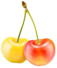 Yellow and Red Cherry isolated on white background, Yellow and Red Cherry on White Background With clipping path PNG file.