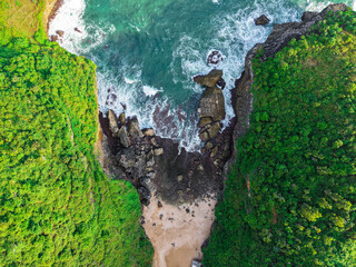 Green tree trunks and vibrant moss cling to a cliff face beside a cascading waterfall, blending...