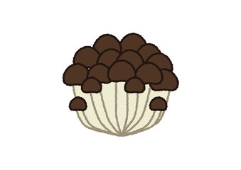 ぶなしめじのイラスト