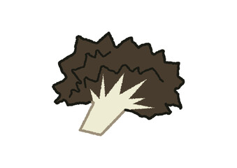 まいたけのイラスト