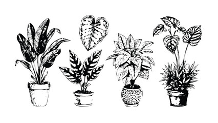 Houseplant Leaves Icon Pack in Stipple Ink Style. Black and White Vector Collection of Popular Potted Plants. Vintage Botanical Drawing Set