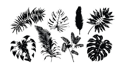 Tropical Plants Vector Illustration Set in Vintage Engraving Style. Detailed Botanical Drawings with Stipple and Hatching Textures