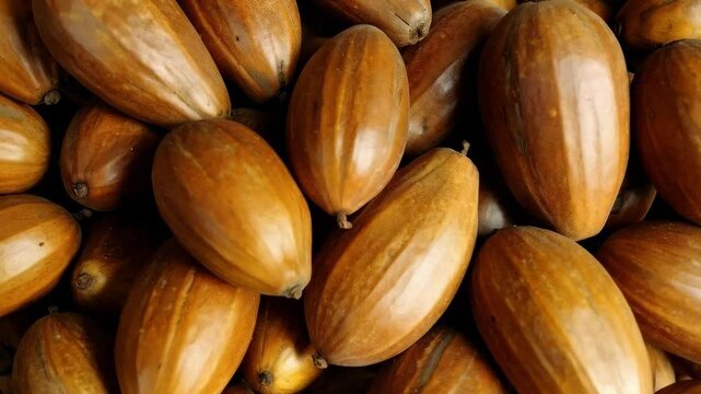 Close-up full frame depiction of ripe brown ackee fruits ready to be cooked, showcasing the tropical fruit's fresh texture and natural coloring